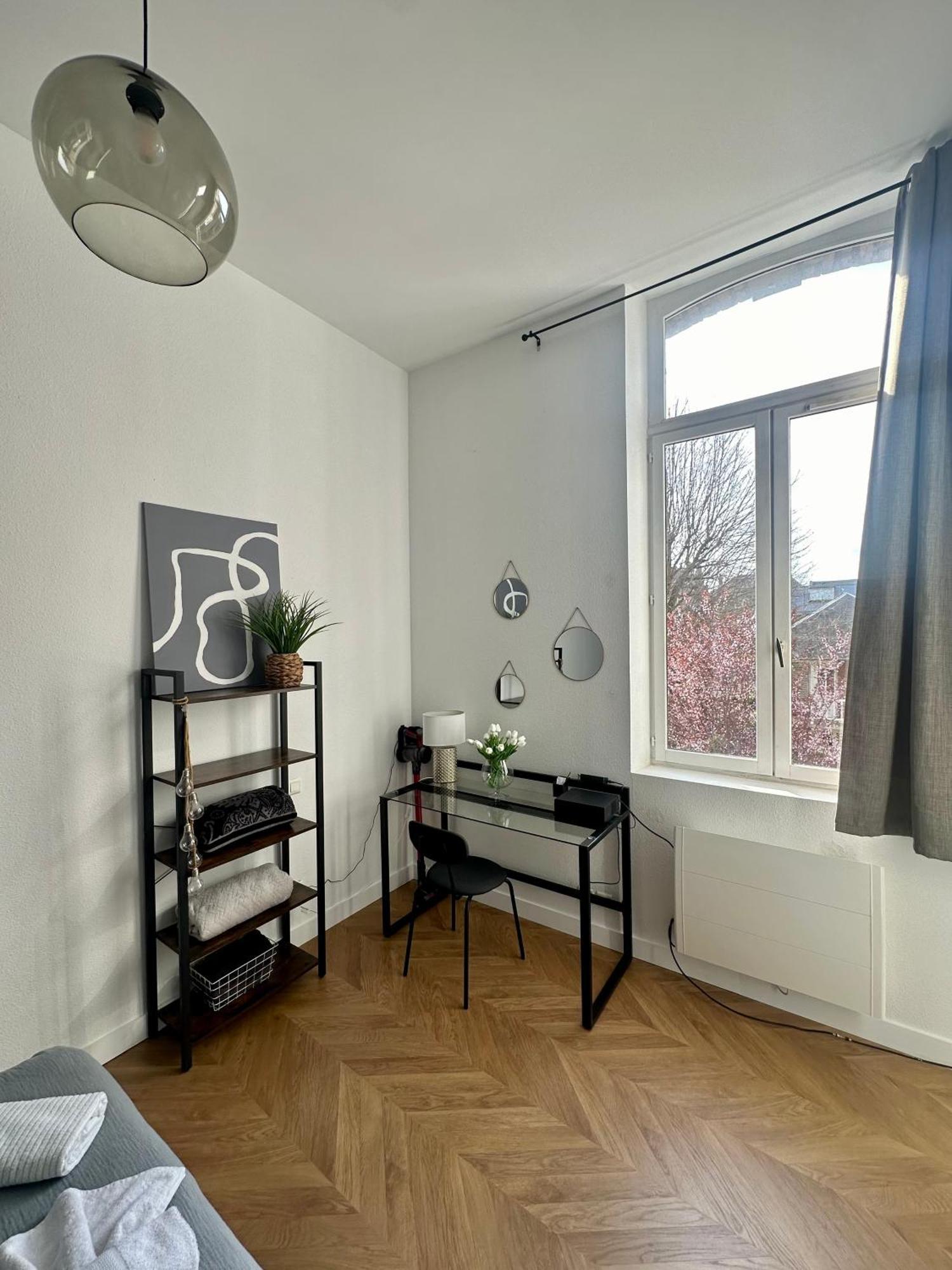 Spacieux Appt Haussmannien Parking Prive アミアン エクステリア 写真